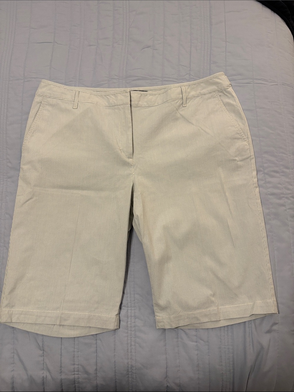 Talbots Light Blue and White Striped  Shorts